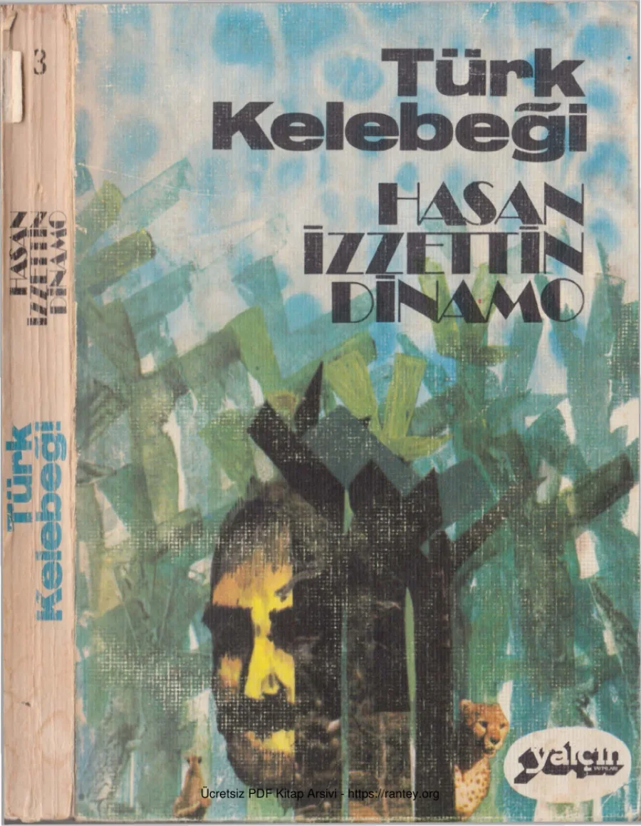 Türk Kelebeği kapak görseli