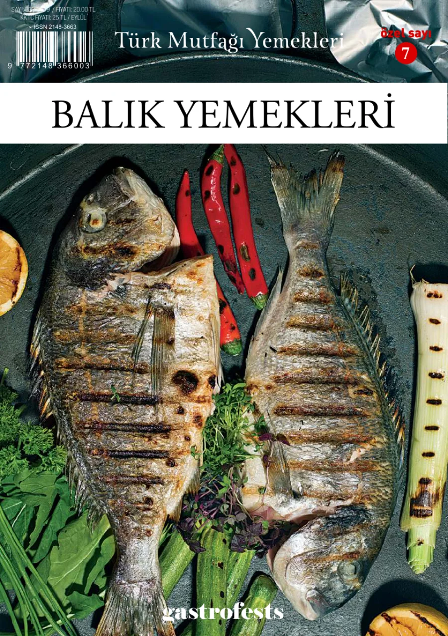 Türk Mutfağı Yemekleri: Balık Yemekleri kapak görseli