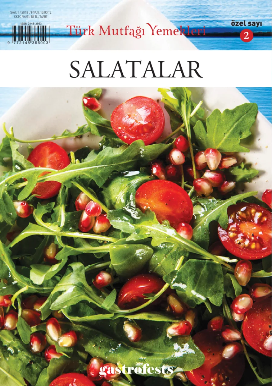 Türk Mutfağı Yemekleri: Salatalar kapak görseli