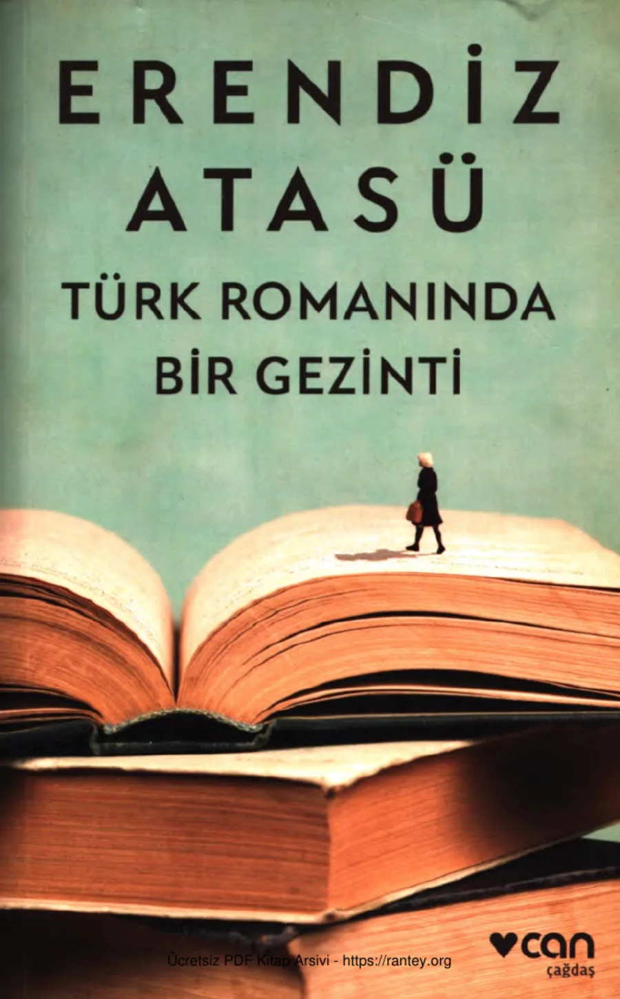 Türk Romanında Bir Gezinti kapak görseli