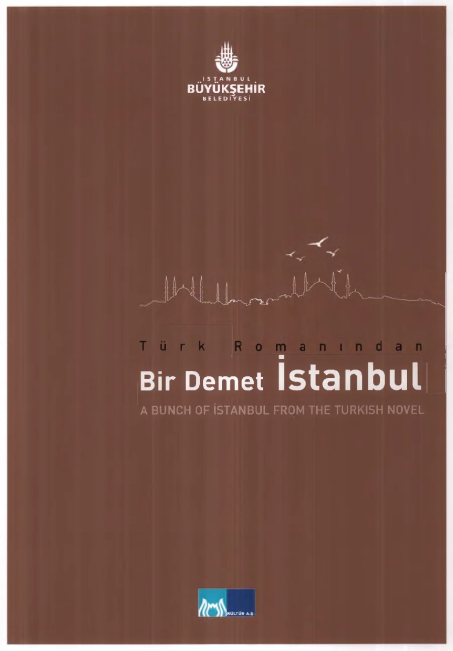Türk Romanından Bir Demet İstanbul Kültür kapak görseli