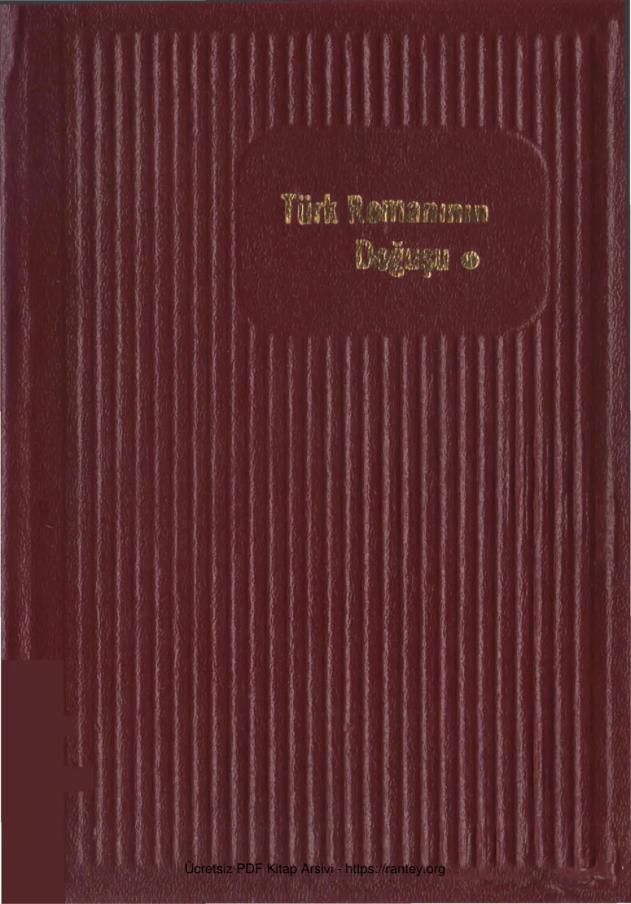 Türk Romanının Doğuşu kapak görseli