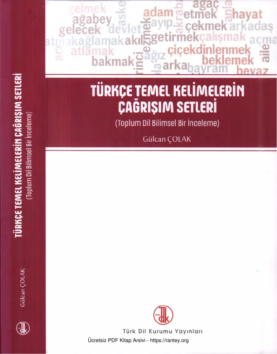 Türkçe Temel Kelimelerin Çağrışım Setleri kapak görseli