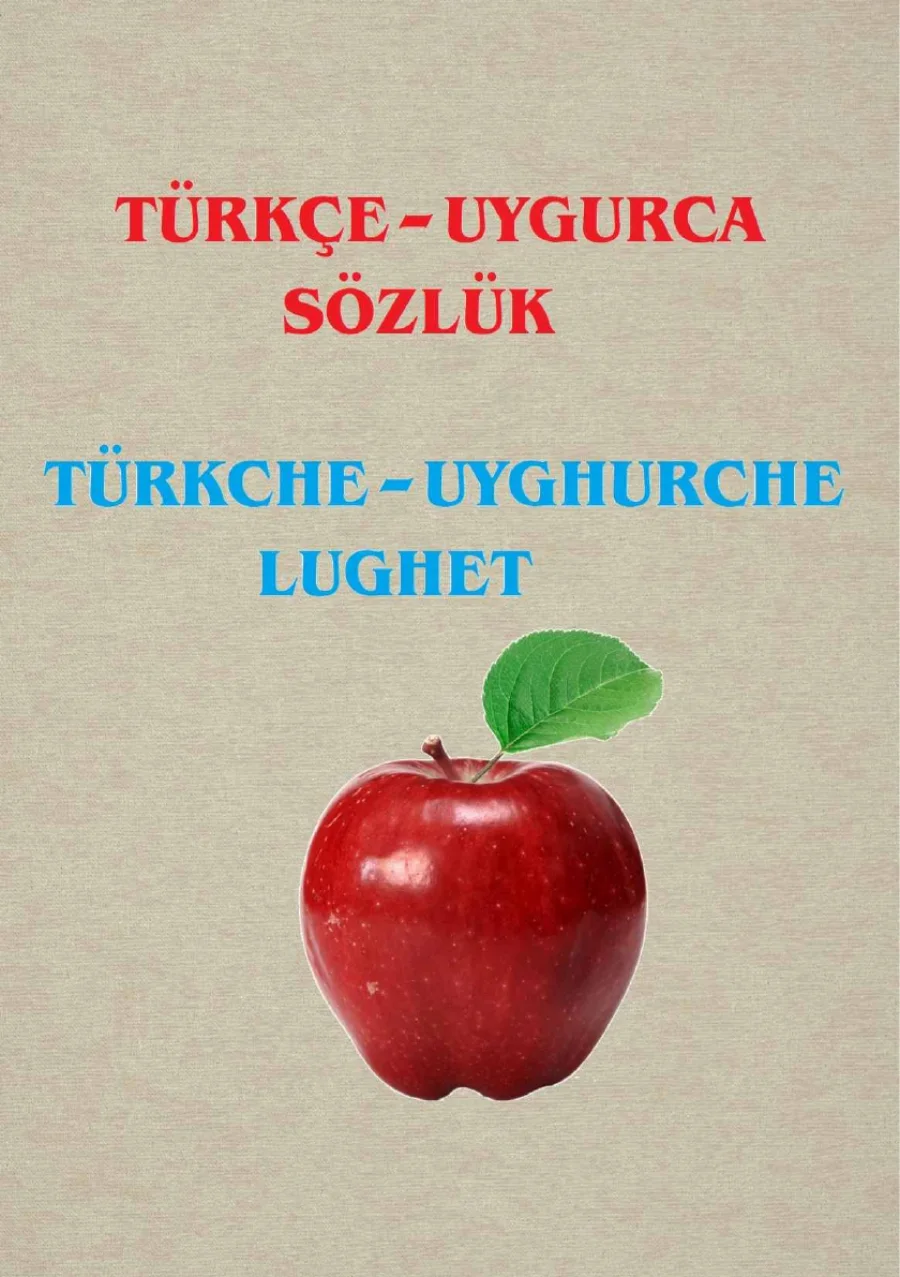 Türkçe-Uygurca Sözlük kapak görseli