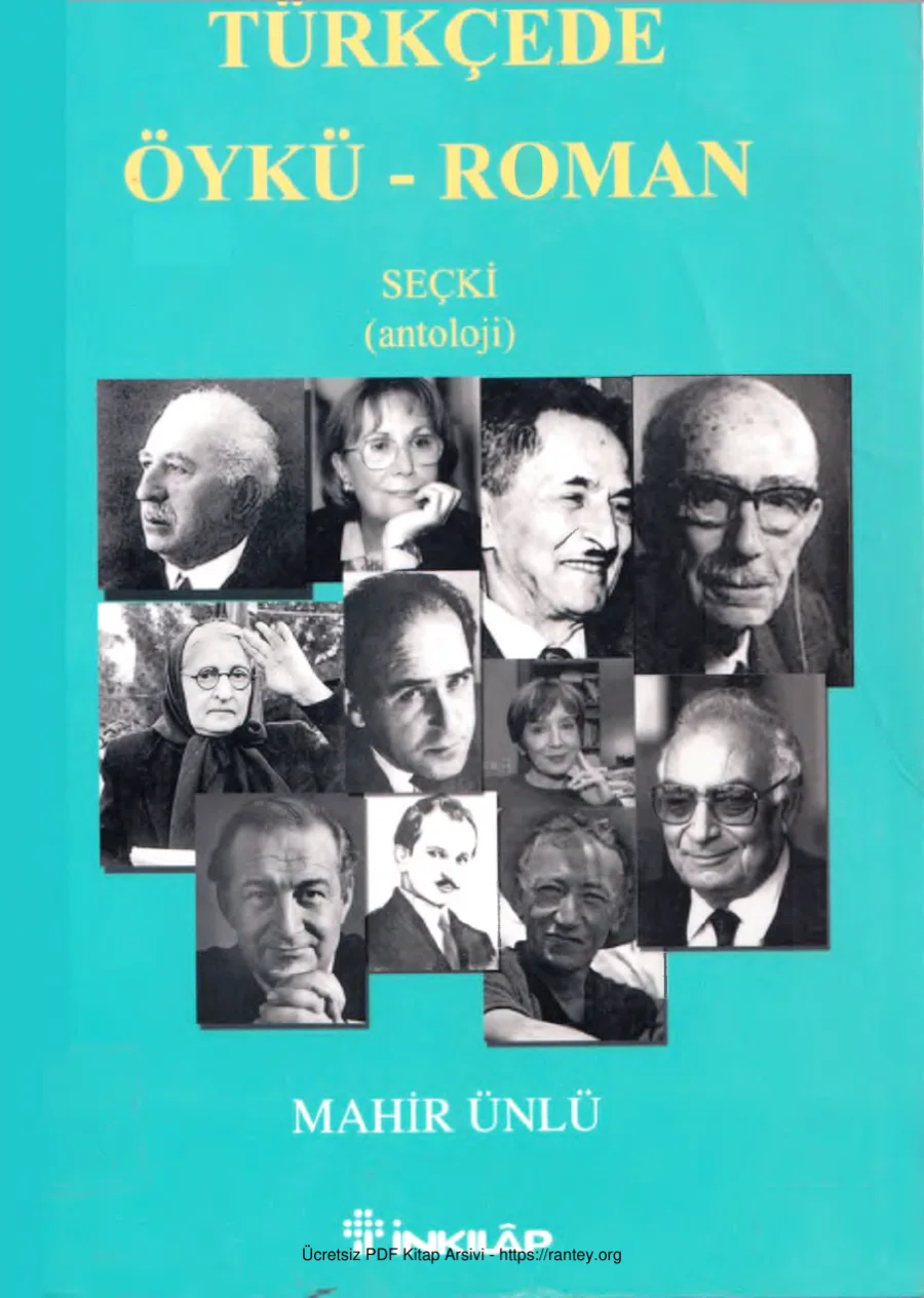 Türkçede Roman Öykü kapak görseli