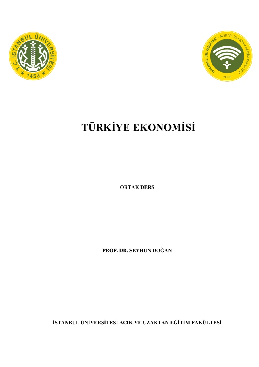 Türkiye Ekonomisi kapak görseli