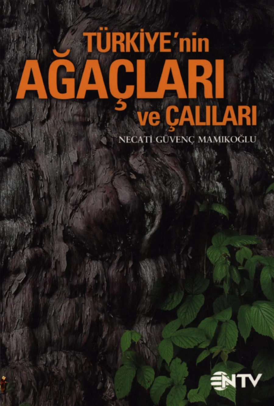 Türkiye'nin Ağaçları ve Çalıları PDF kapak görseli