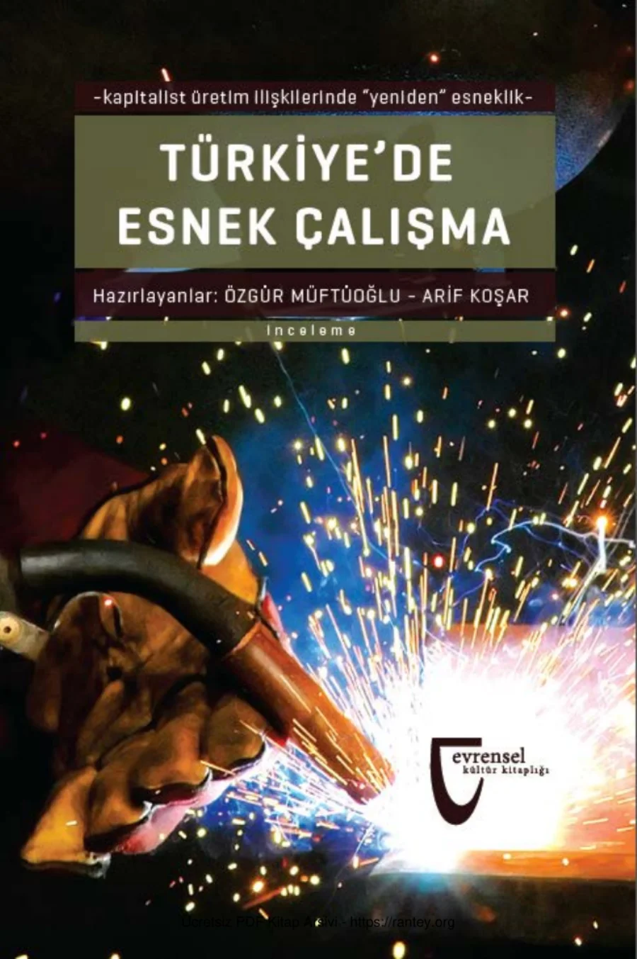 Türkiyede Esnek Çalışma kapak görseli