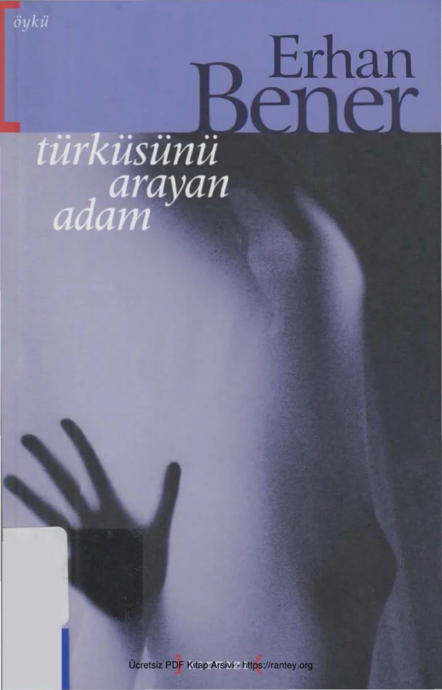 Türküsünü Arayan Adam kapak görseli