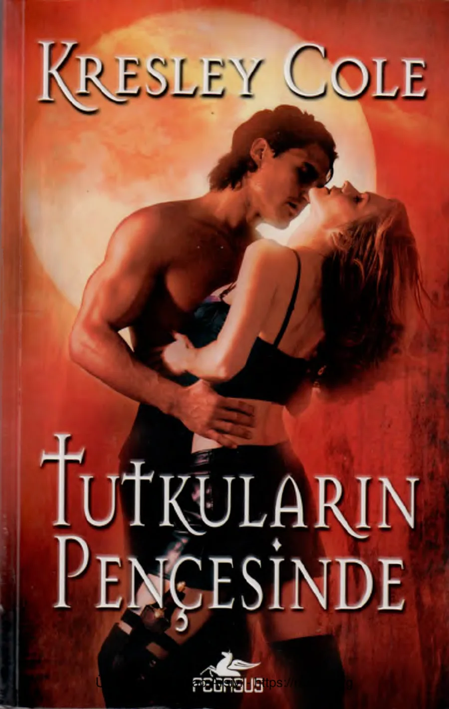 Tutkuların Pençesinde kapak görseli