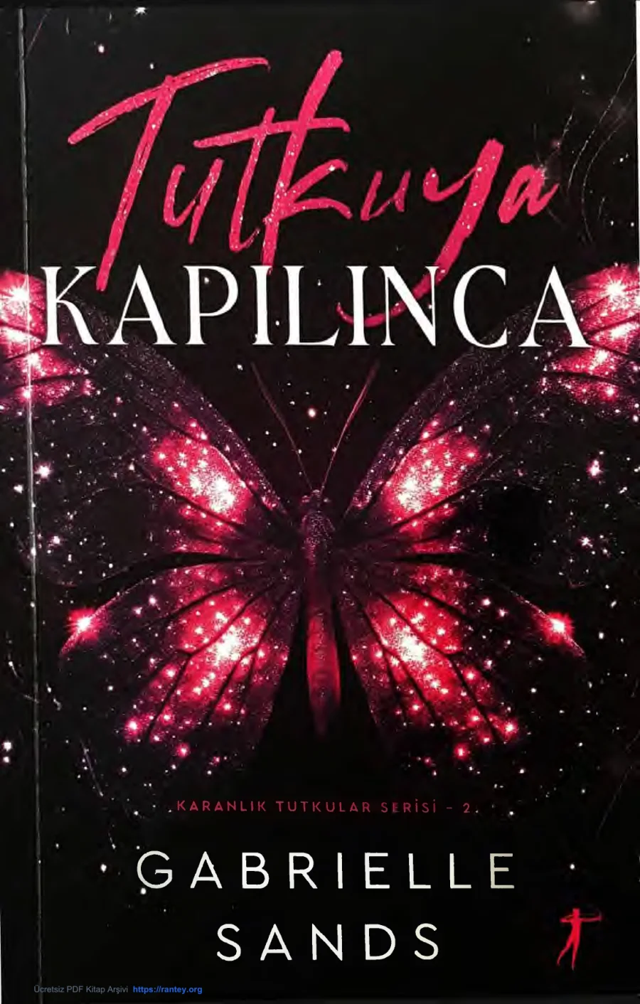Tutkuya Kapılınca kapak görseli