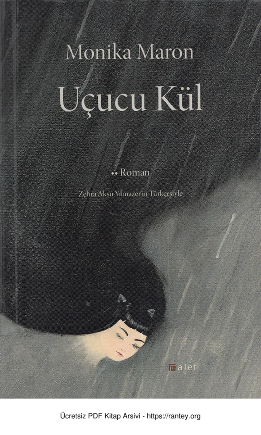Uçucu Kül Alef YAyınları kapak görseli
