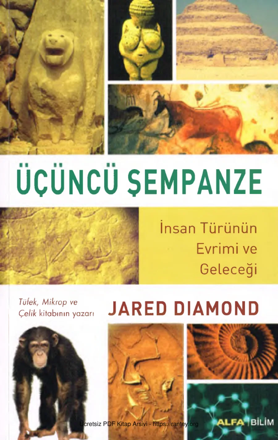 Üçüncü Şempanze İnsan Türünün Evrimi ve Geleceği kapak görseli