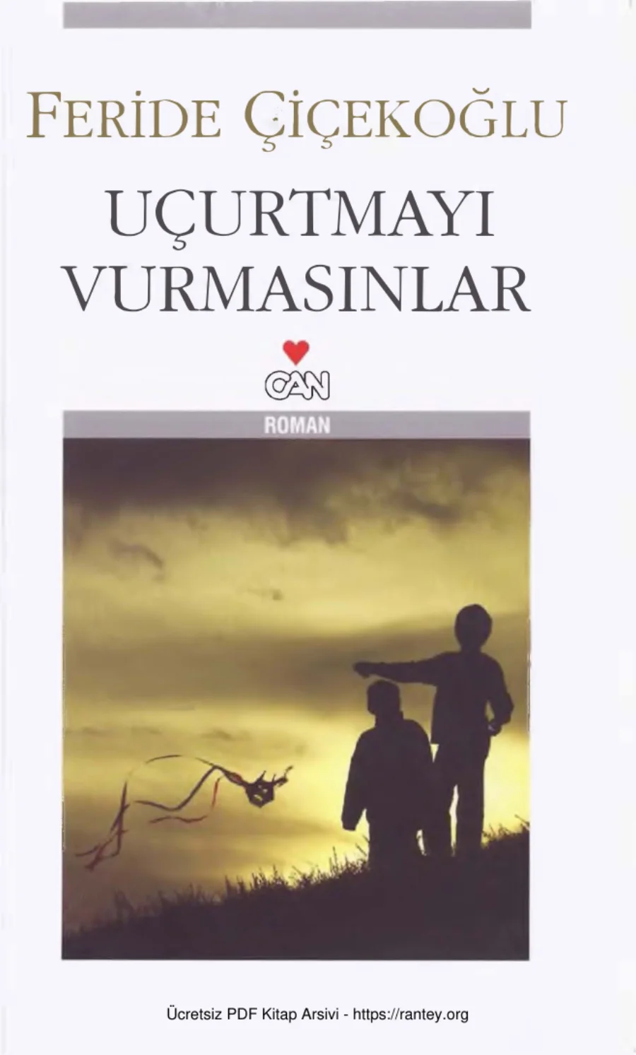 Uçurtmayı Vurmasınlar Can Yayınları kapak görseli