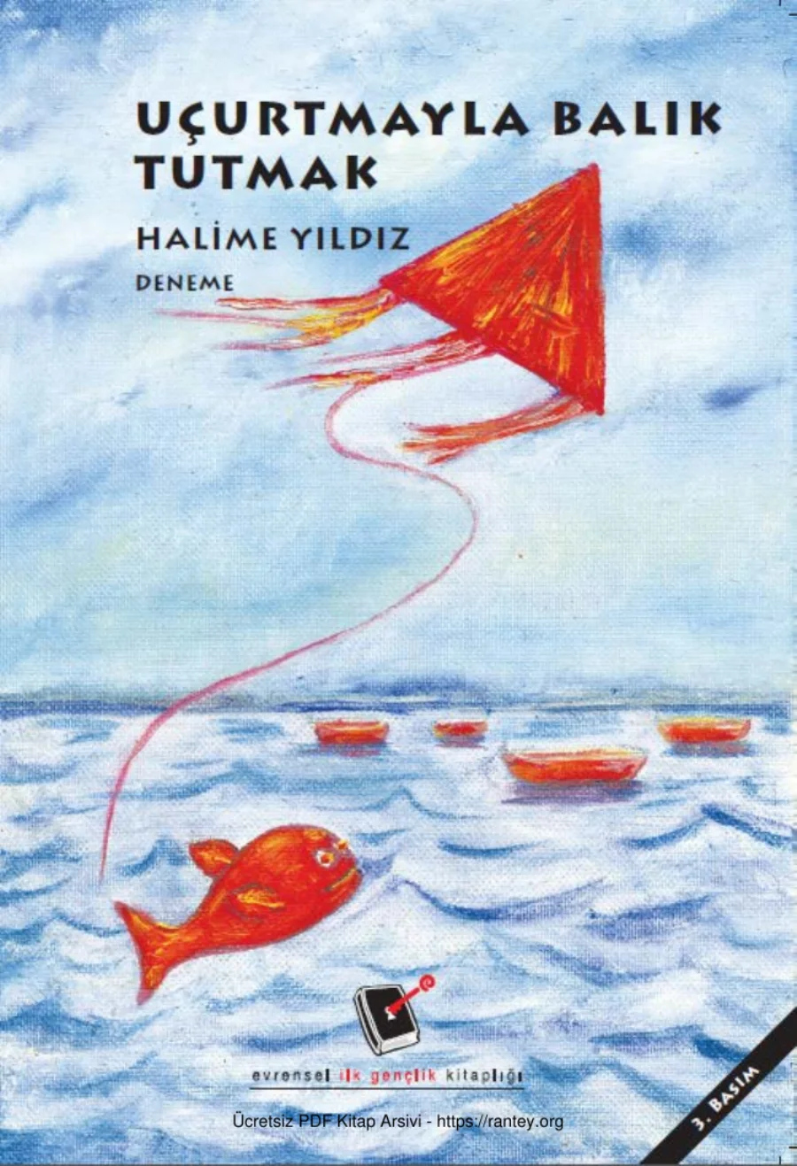 Uçurtmayla Balık Tutmak kapak görseli