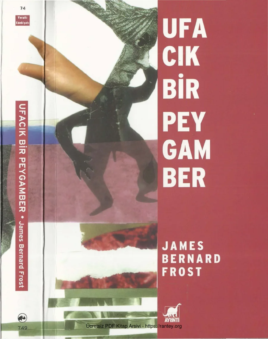 Ufacık Bir Peygamber kapak görseli