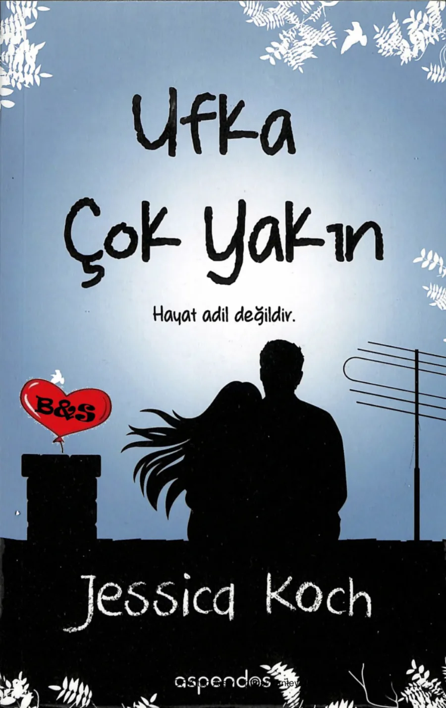 Ufka Çok Yakın Danny Üçlemesi 1 Hayat Adil Değildir kapak görseli