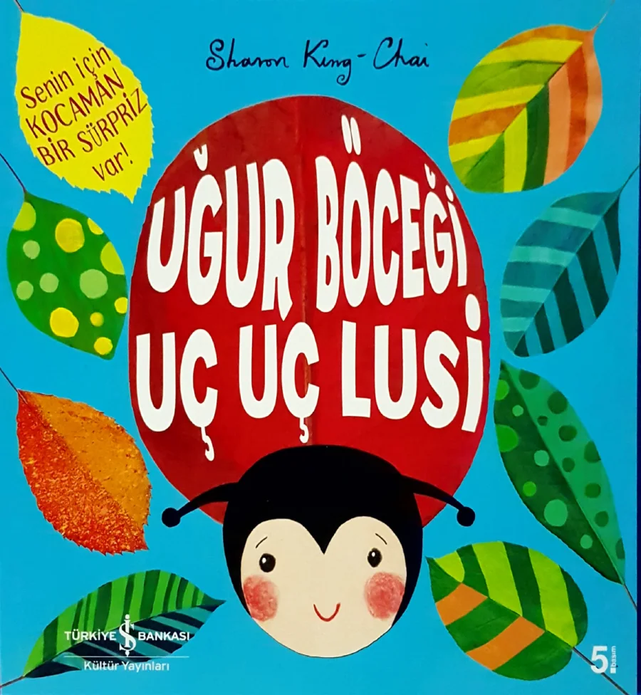 Uğur Böceği Uç Uç Lusi kapak görseli