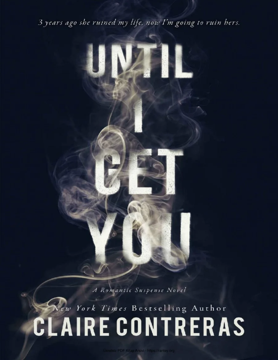 Until I Get You kapak görseli