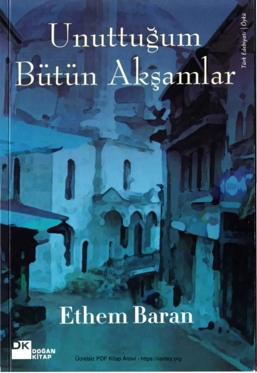 Unuttuğum Bütün Akşamlar kapak görseli