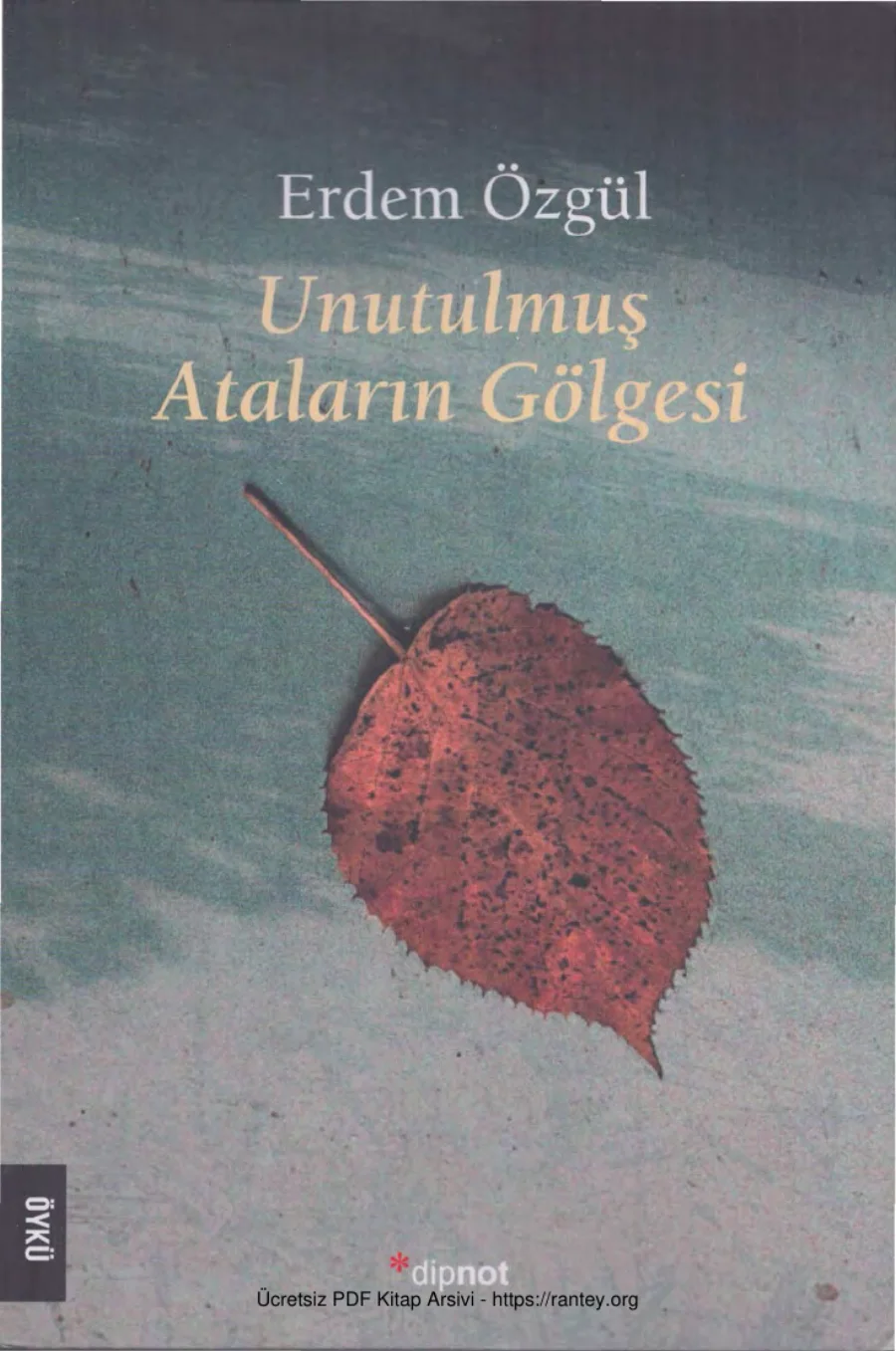 Unutulmuş Ataların Gölgesi kapak görseli