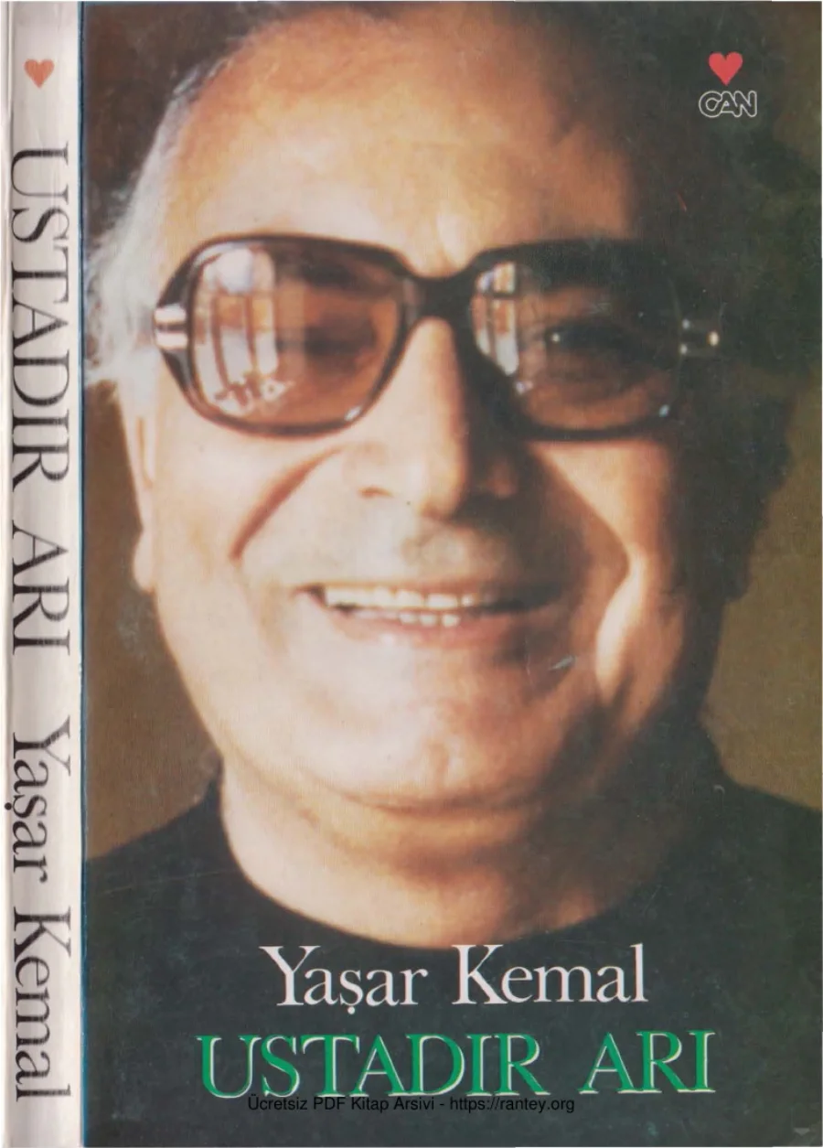 Ustadır Arı Can Yayınları kapak görseli