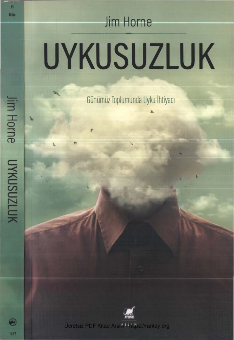 Uykusuzluk kapak görseli
