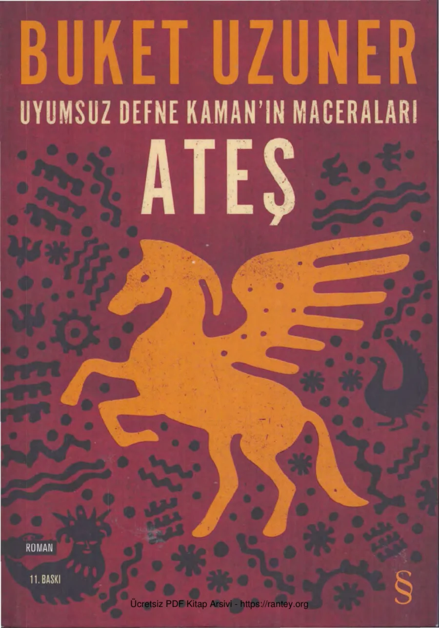 Uyumsuz Defne Kamanın Maceraları Ateş kapak görseli