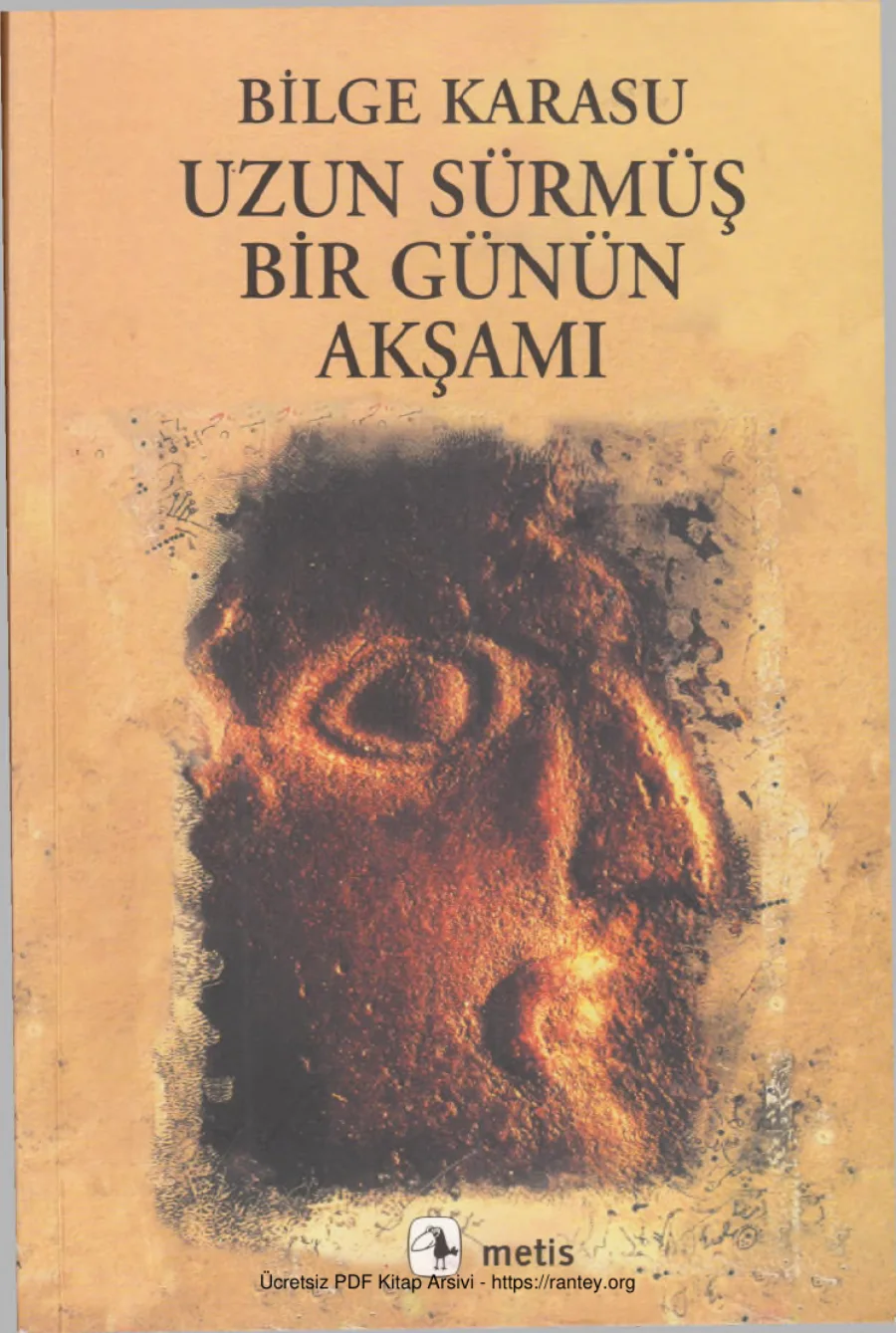 Uzun Sürmüş Bir Günün Akşamı kapak görseli