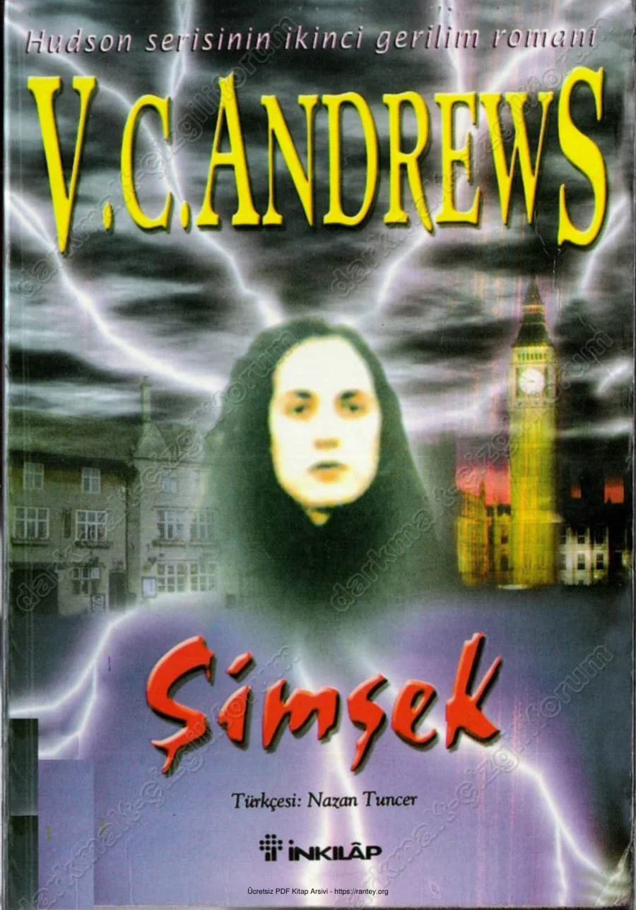 V C Andrews Şimşek kapak görseli