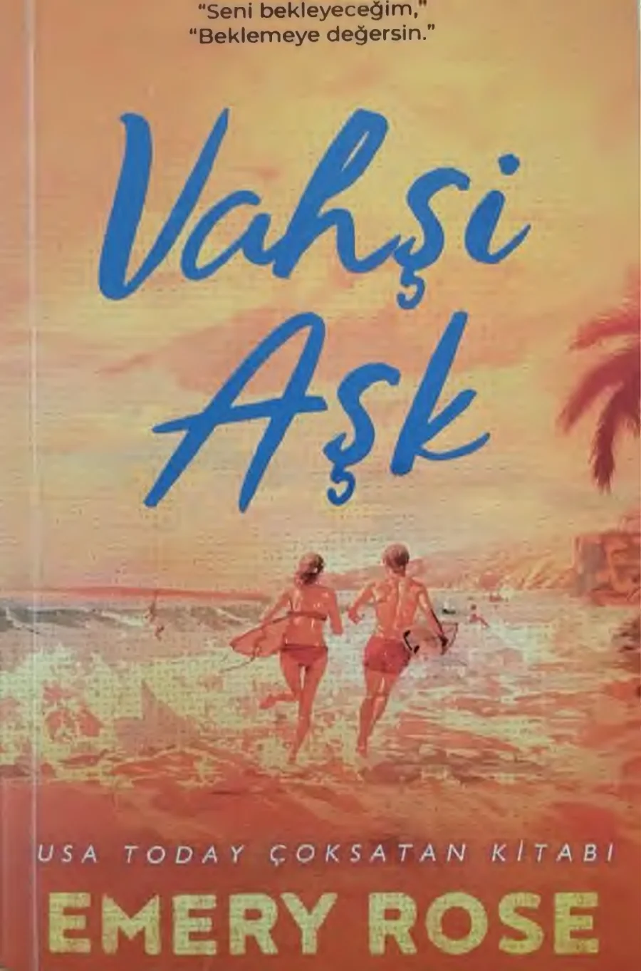 Vahşi Aşk kapak görseli