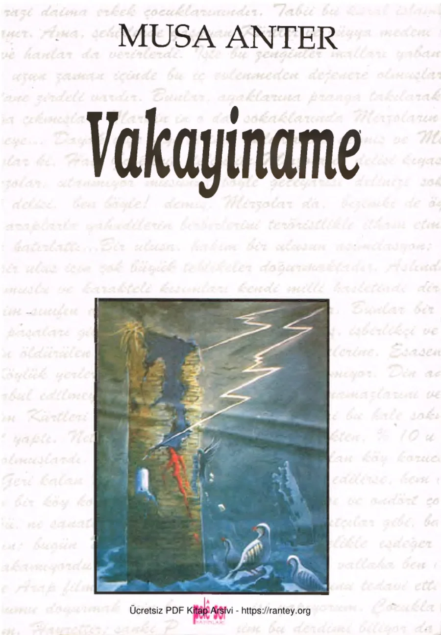 Vakayiname Pele Sor Yayınları kapak görseli