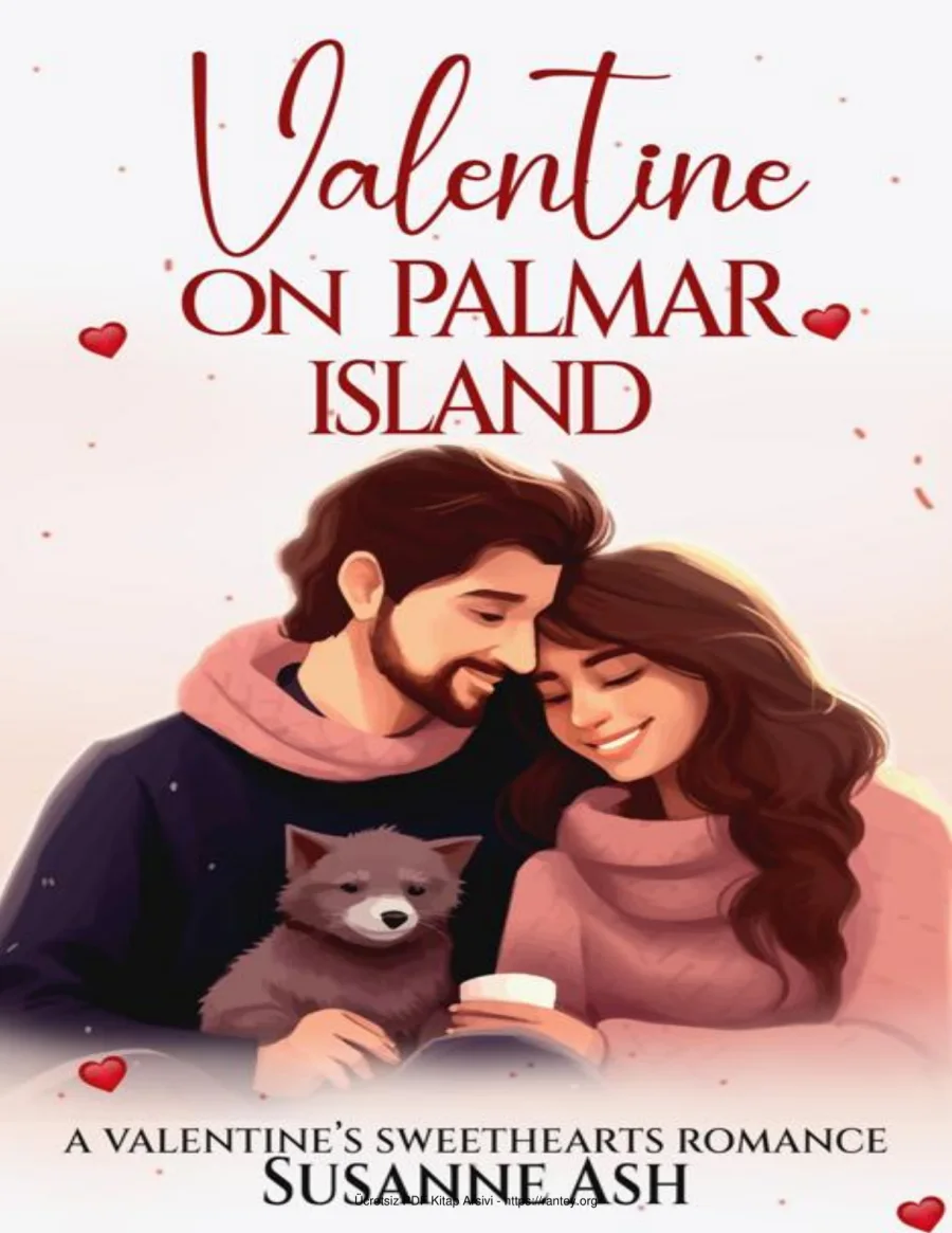 Valentine on Palmar Island kapak görseli