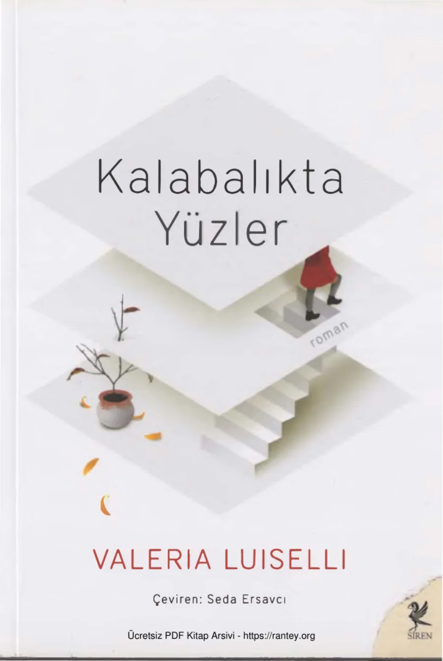 Valeria Luiselli Kalabalıkta Yüzler kapak görseli