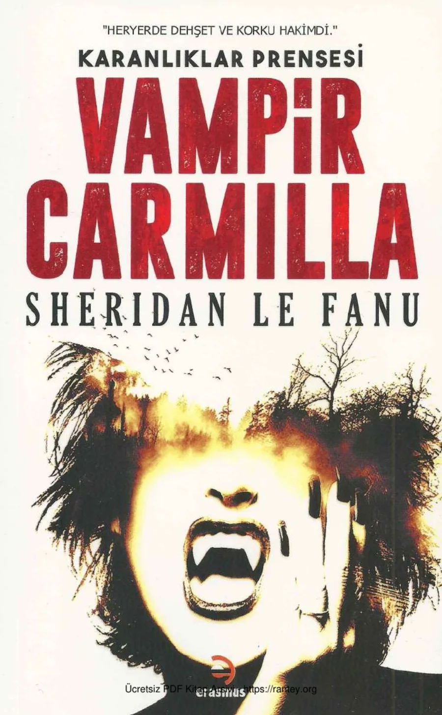 Vampir Carmilla Ersamus Yayınları kapak görseli