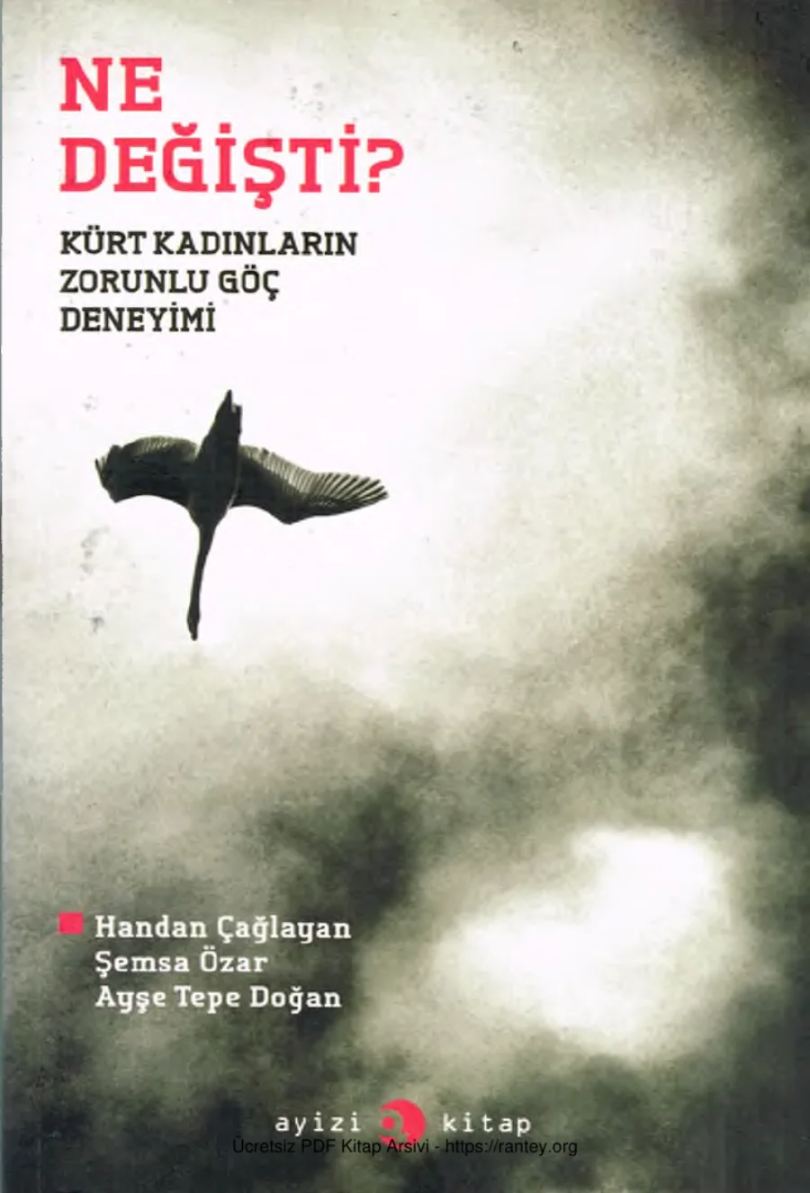 vd Ne Değişti Kürt Kadınların Zorunlu Göç Deneyimi Ayizi Kitap kapak görseli