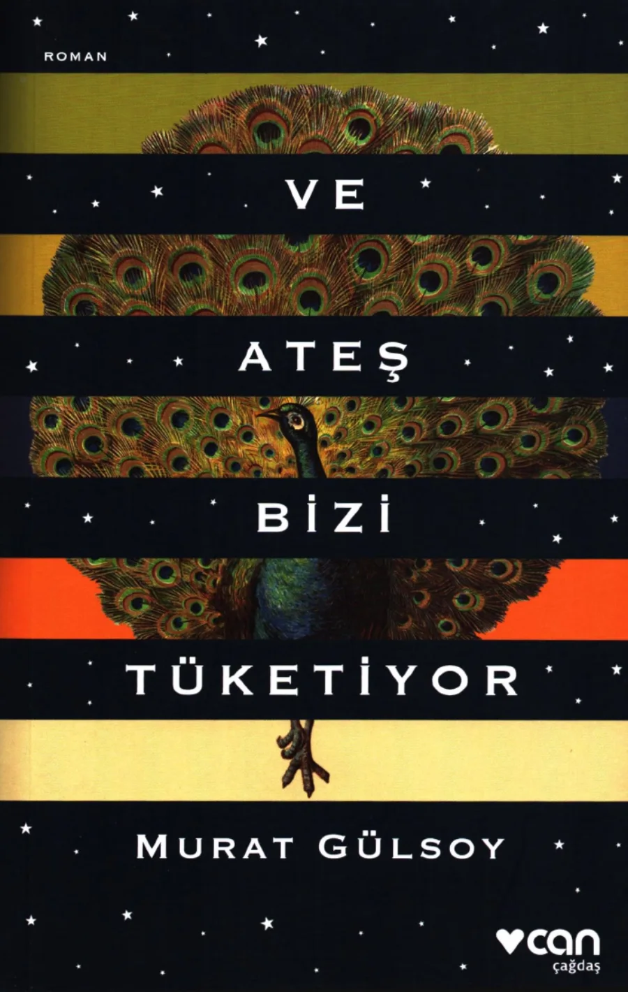Ve Ateş Bizi Tüketiyor kapak görseli