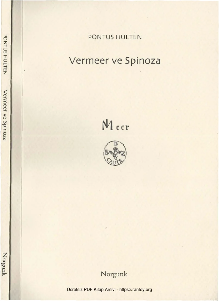 Vermeer ve Spinoza kapak görseli