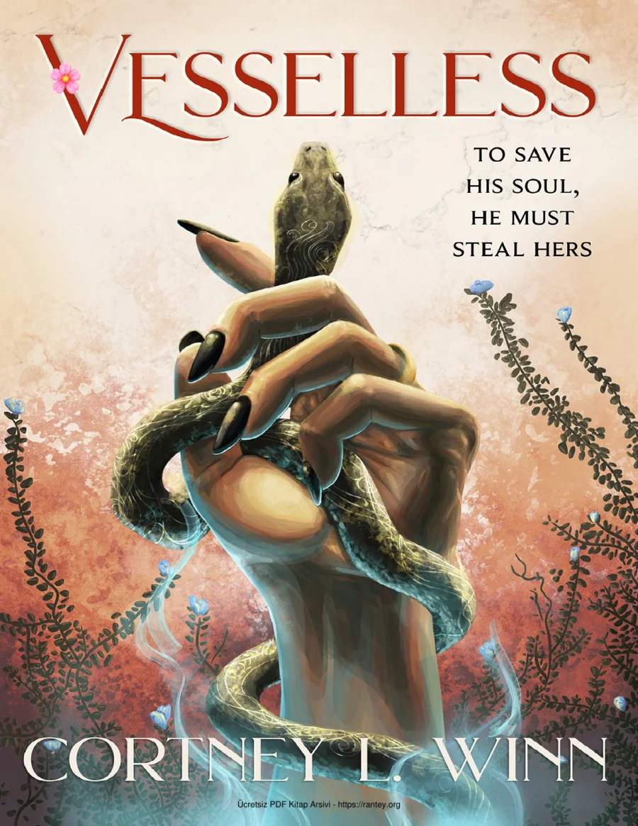Vesselless kapak görseli