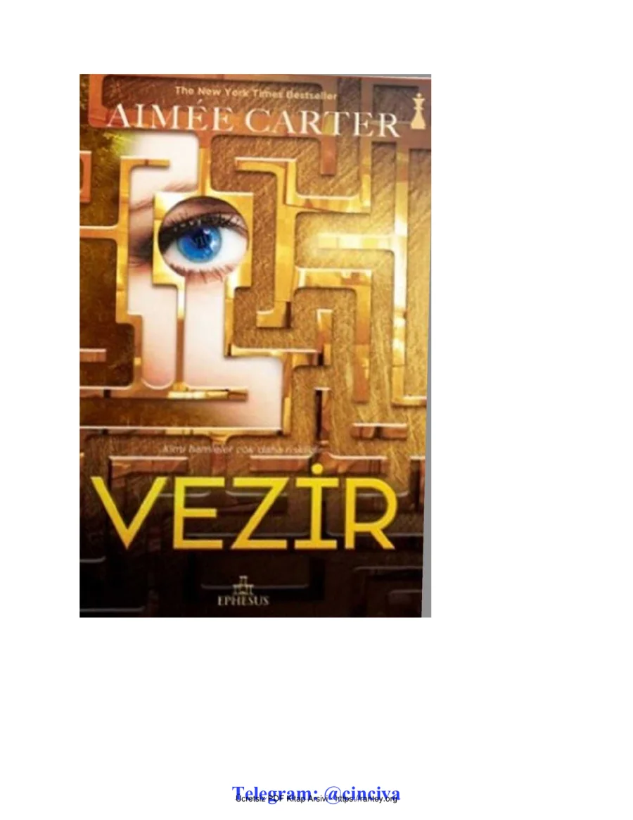 Vezir kapak görseli