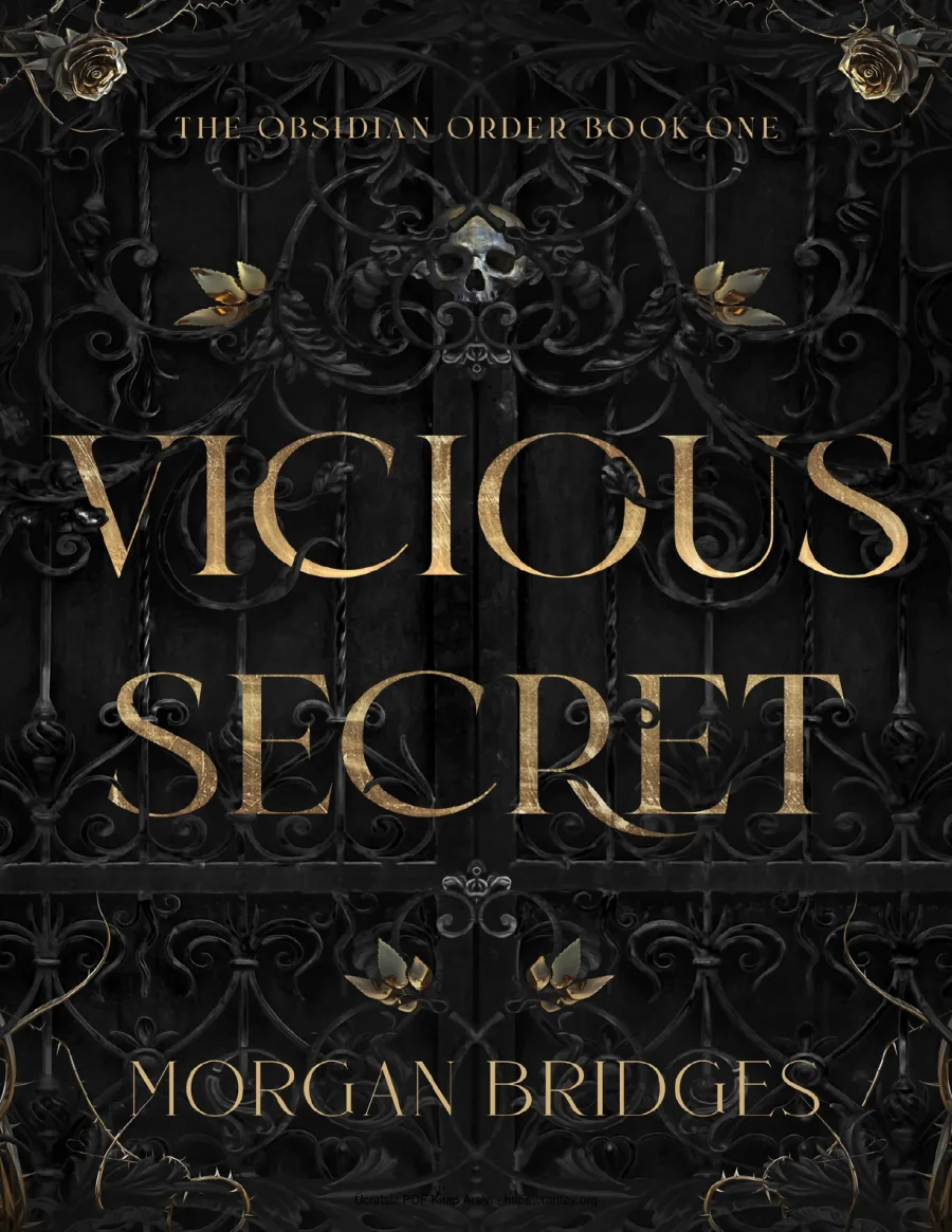 Vicious Secret kapak görseli