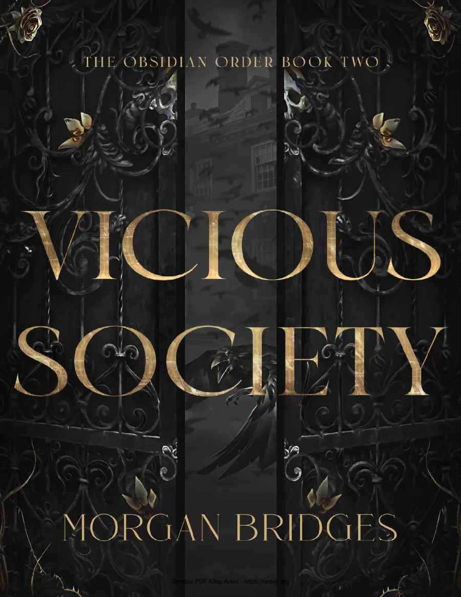Vicious Society kapak görseli