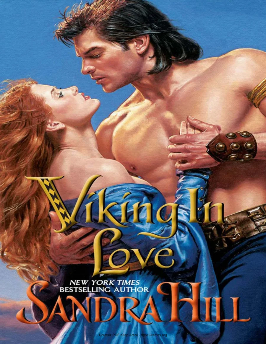 Viking in Love kapak görseli