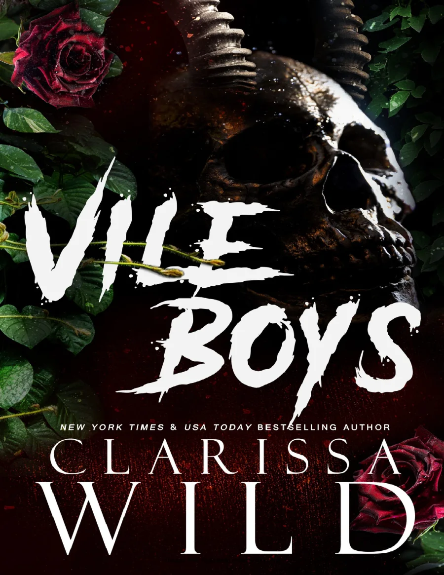 Vile Boys kapak görseli