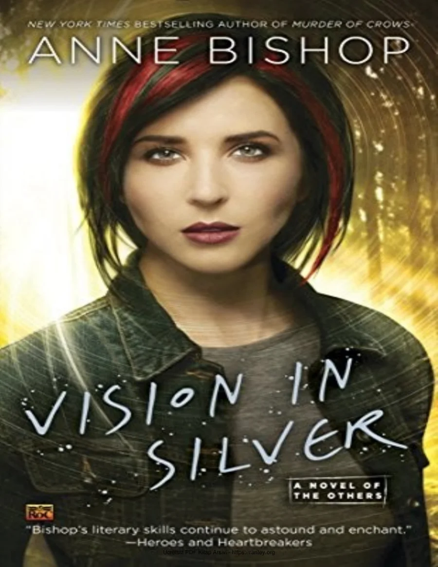 Vision in Silver kapak görseli