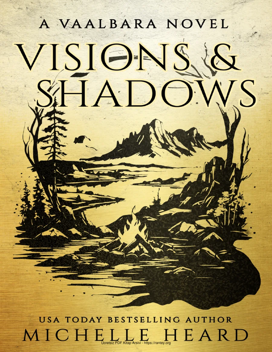 Visions Shadows kapak görseli