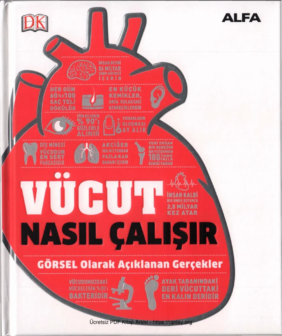 Vücut Nasıl Çalışır kapak görseli
