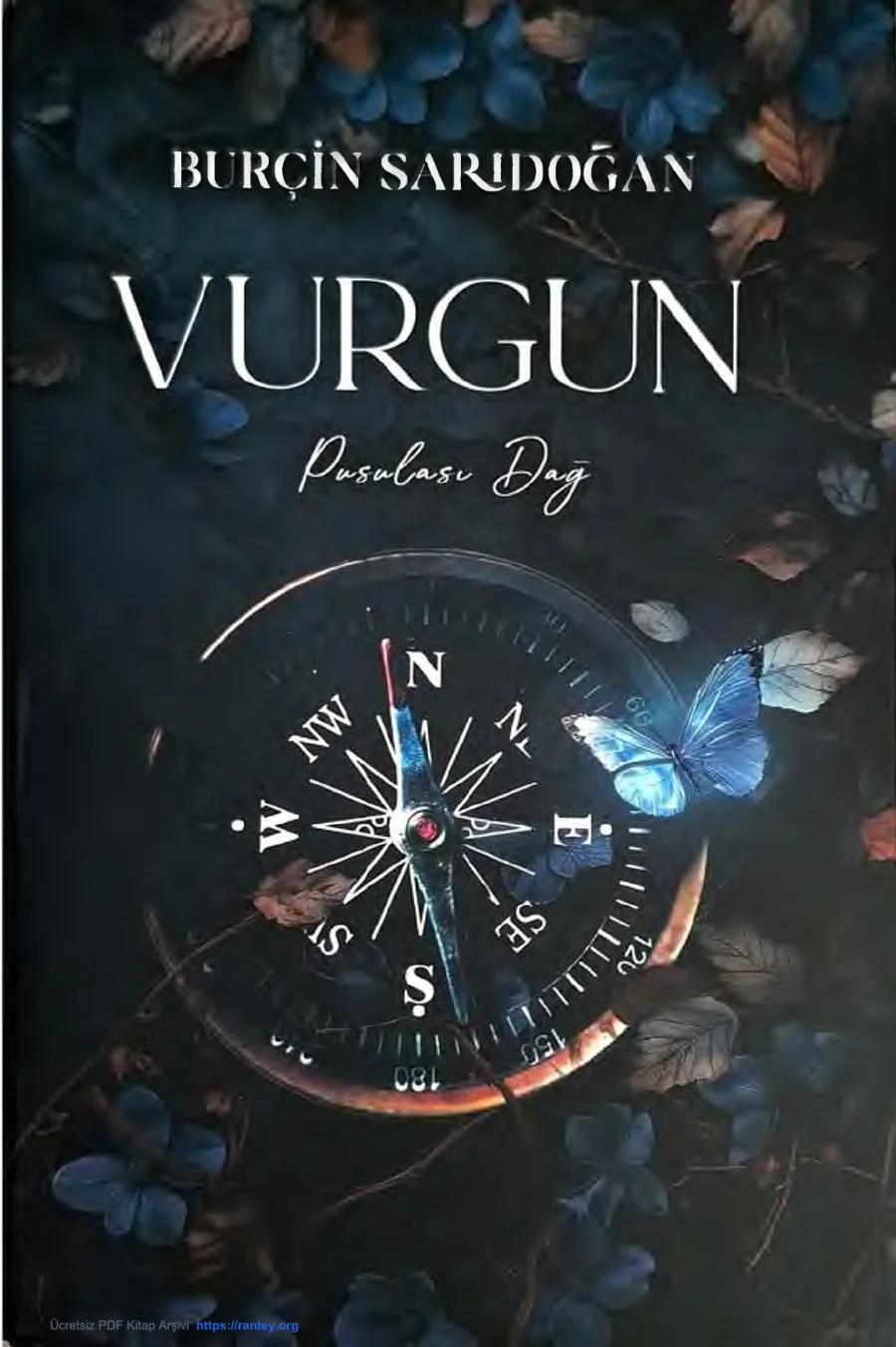 Vurgun 2: Pusulası Dağ kapak görseli