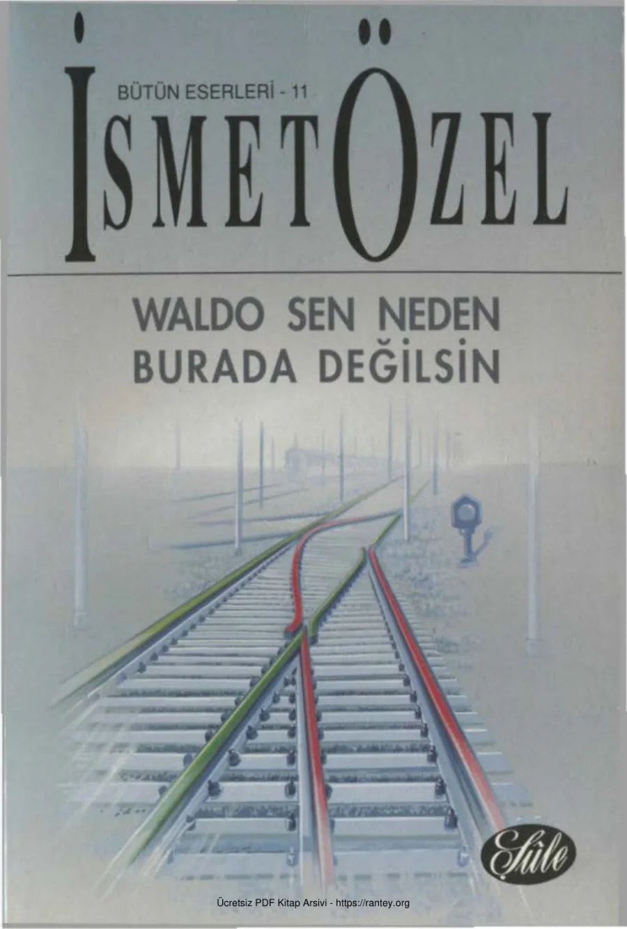 Waldo Sen Neden Burada Değ ilsin kapak görseli