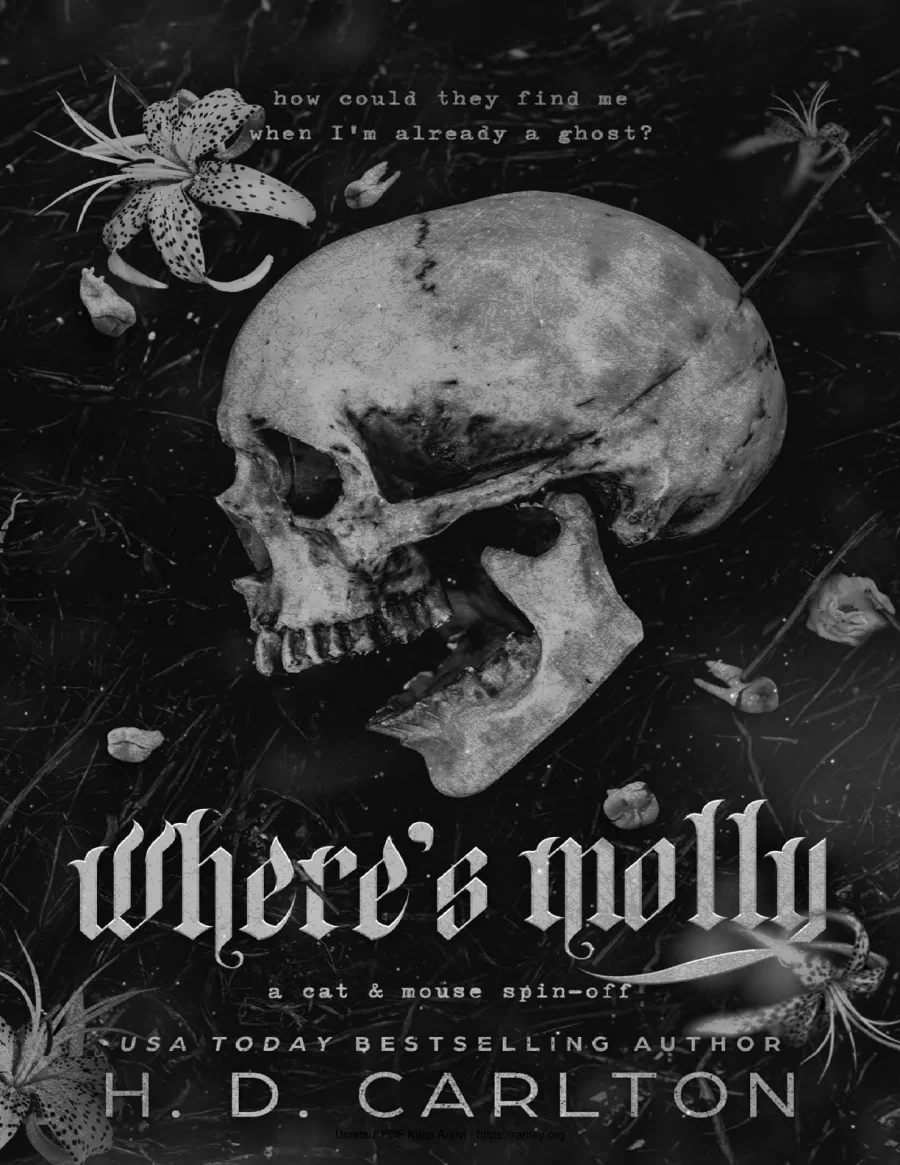Wheres Molly kapak görseli